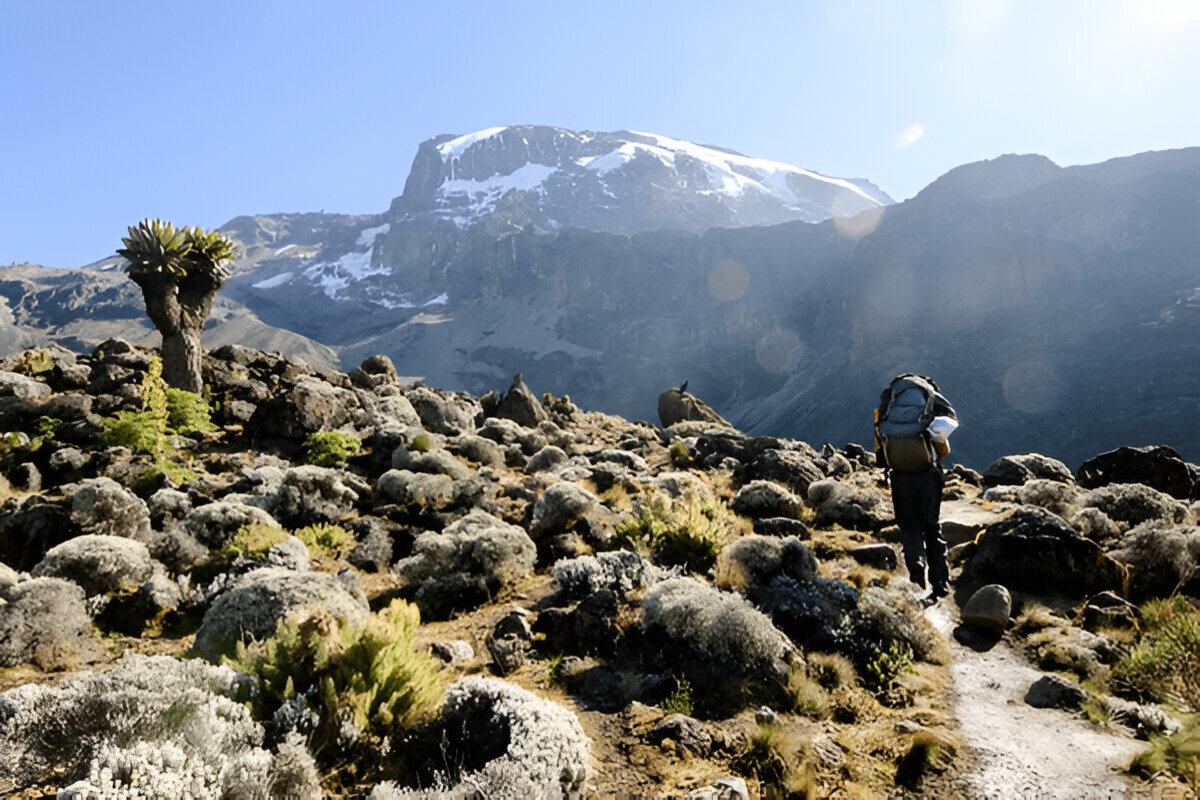 Mount Kilimanjaro